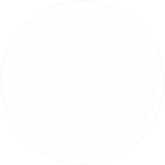 Sacred Geometry Life